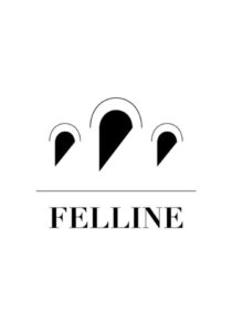 logo-felline Primitivo Felline